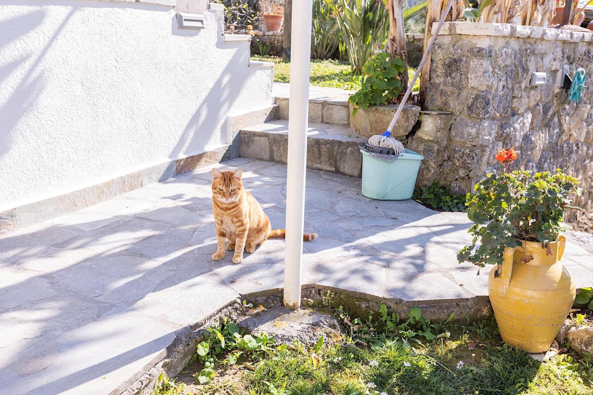 Ad Homes Agios Gordios  Exterior photo
